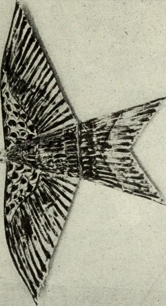 An illustration from Kitecraft and kite tournaments, 1919, leaf 36