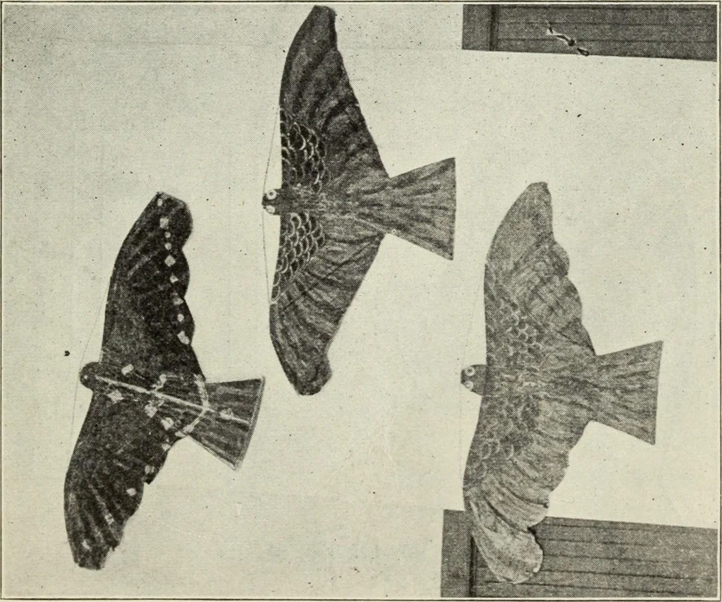 An illustration from Kitecraft and kite tournaments, 1919, leaf 36