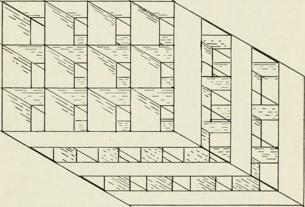 An illustration from Kitecraft and kite tournaments, 1919, leaf 46