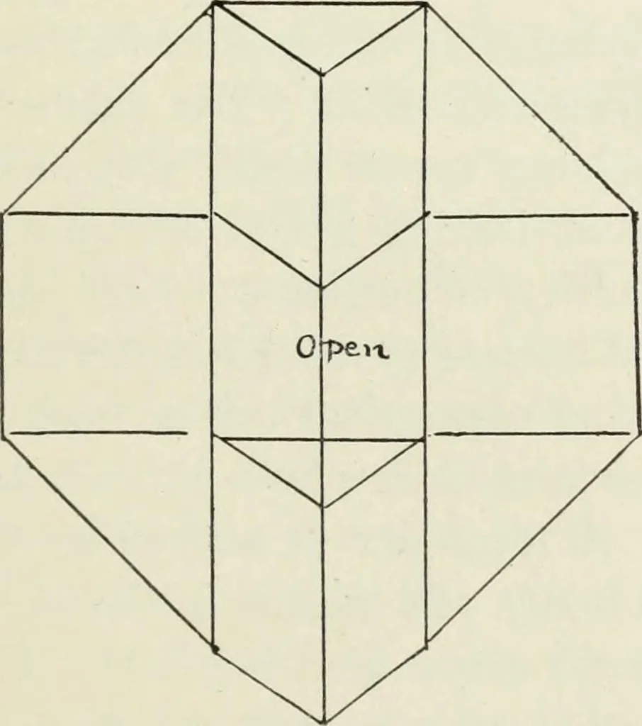 An illustration from Kitecraft and kite tournaments, 1919, leaf 52