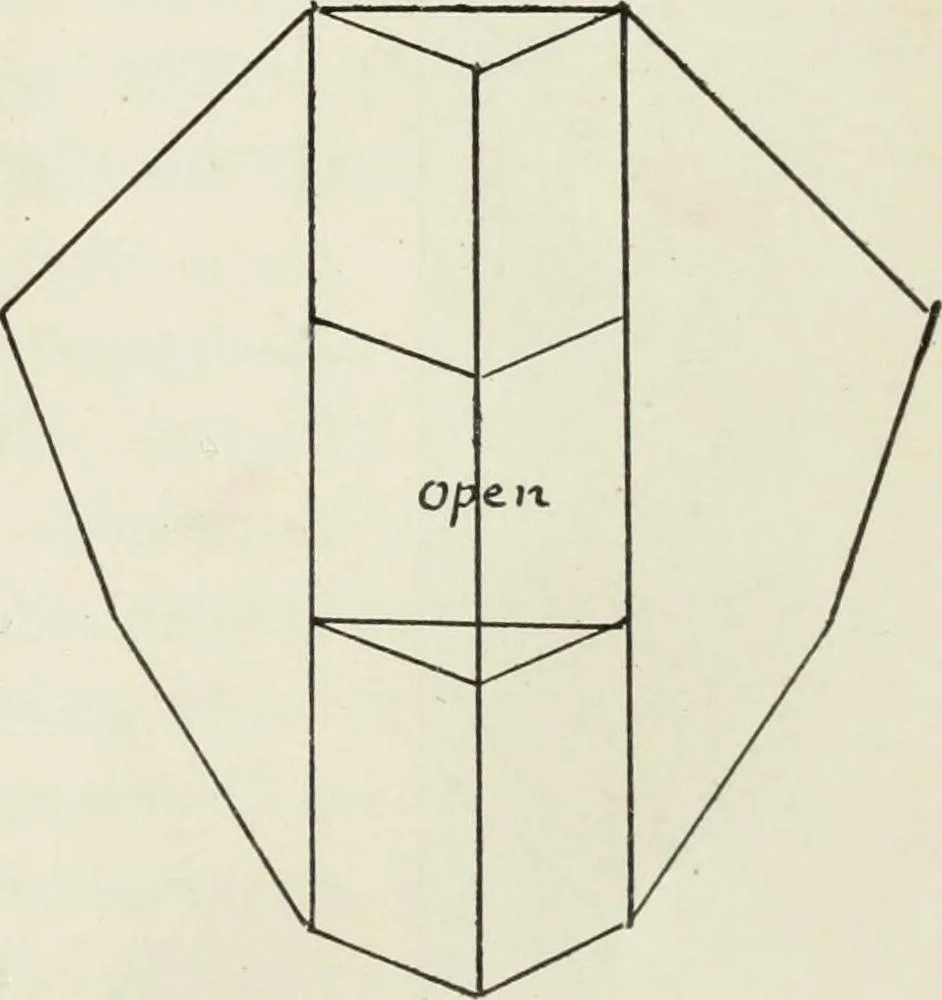 An illustration from Kitecraft and kite tournaments, 1919, leaf 52