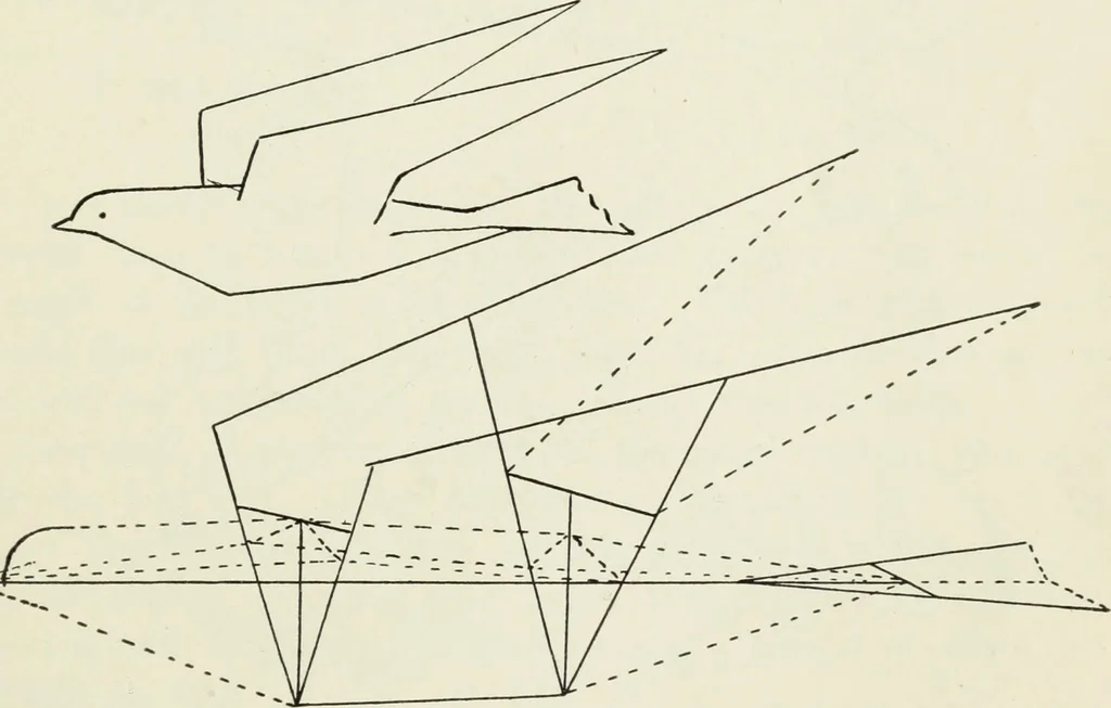 An illustration from Kitecraft and kite tournaments, 1919, leaf 56