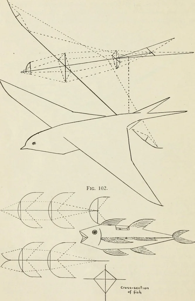 An illustration from Kitecraft and kite tournaments, 1919, leaf 57