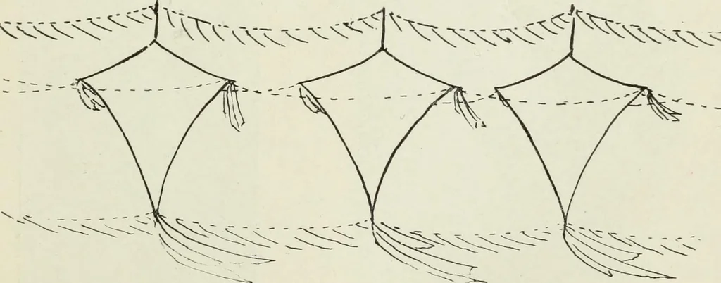 An illustration from Kitecraft and kite tournaments, 1919, leaf 60