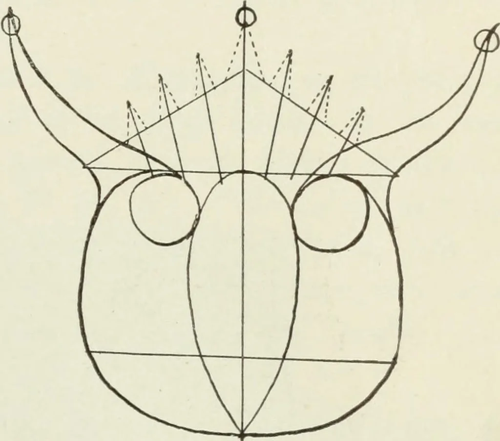 An illustration from Kitecraft and kite tournaments, 1919, leaf 62