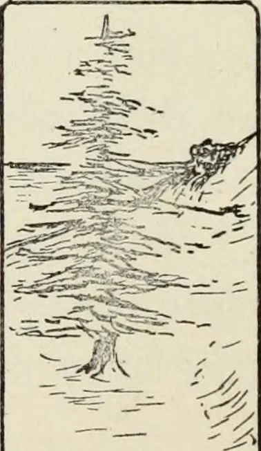 An illustration from Kitecraft and kite tournaments, 1919, leaf 67