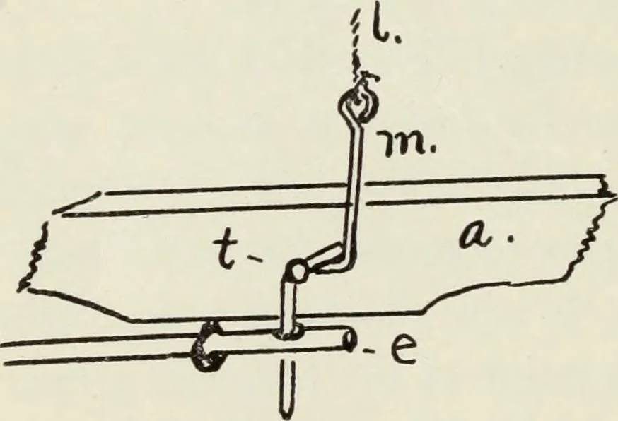 An illustration from Kitecraft and kite tournaments, 1919, leaf 73