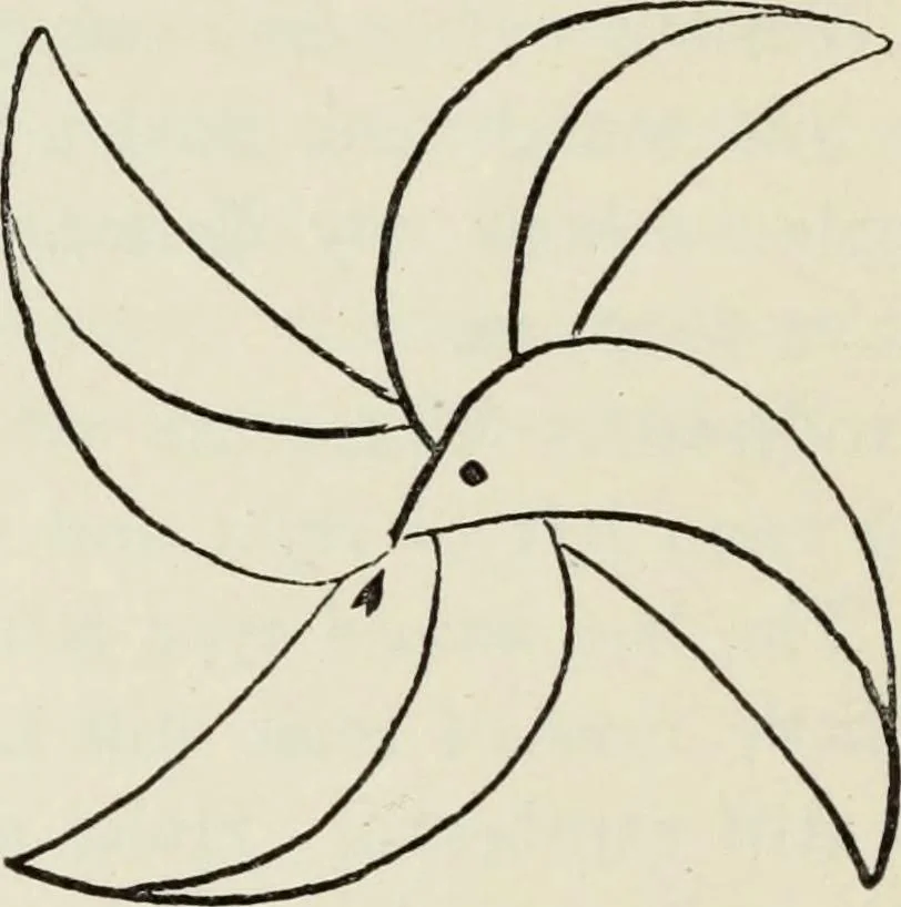 An illustration from Kitecraft and kite tournaments, 1919, leaf 79