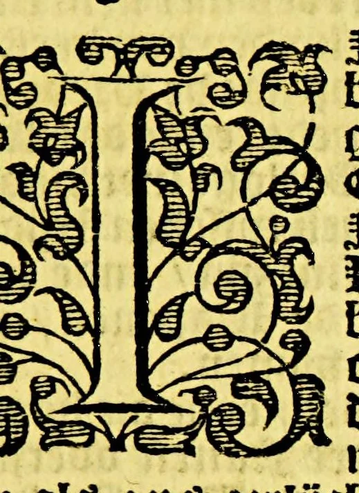 An illustration from Klare aanwijsinge, dat de Vereenighde Nederlanden, gheen treves met den Vyandt dienen te maecken. : Zijnde het derden deel van't Tractaet tegens peys, treves, ende onderhandelinghe met den Uyandt, 1630, leaf 7
