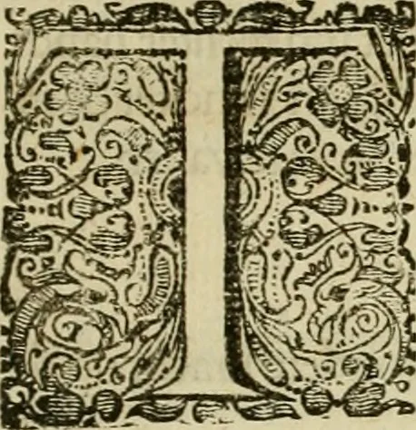 An illustration from Klare onderrichtinge der voortreffelijcke worstel-konst : verhandelende hoemen in alle voorvallen van twist in handtgemeenschap, sich kan hoeden : en alle aengrepen, borst-stooten, vuyst-slagen &c. versetten ..., 1674, leaf 12