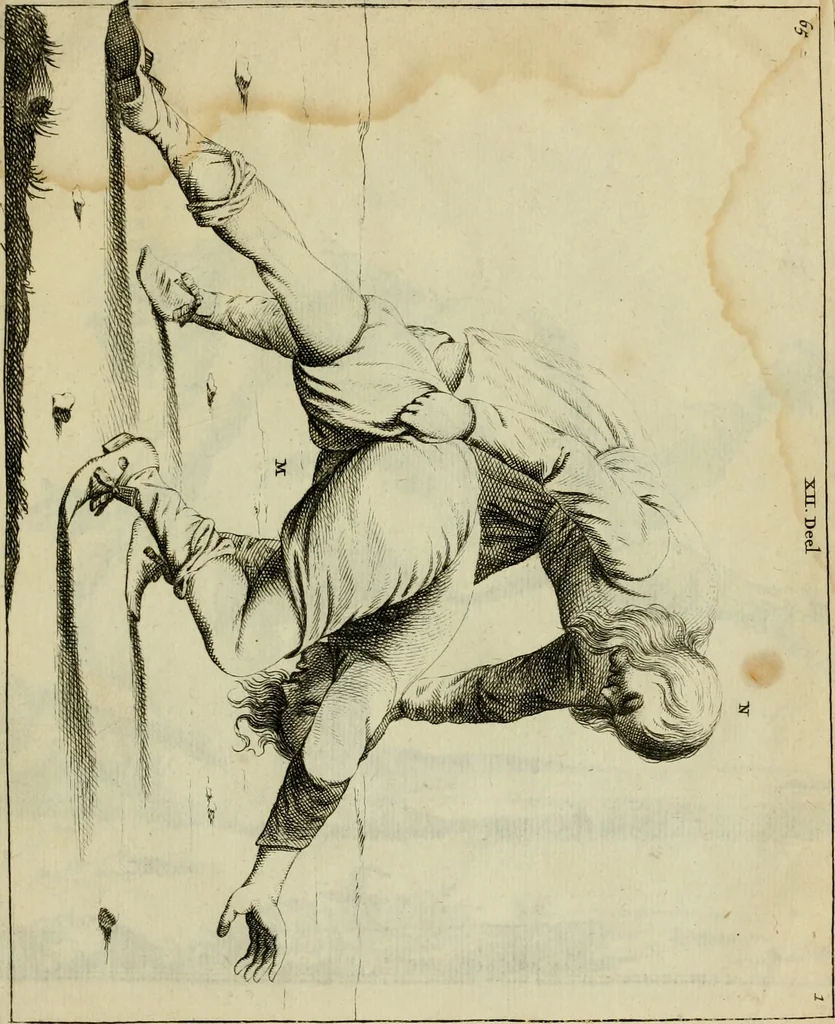 An illustration from Klare onderrichtinge der voortreffelijcke worstel-konst : verhandelende hoemen in alle voorvallen van twist in handtgemeenschap, sich kan hoeden : en alle aengrepen, borst-stooten, vuyst-slagen &c. versetten ..., 1674, leaf 156