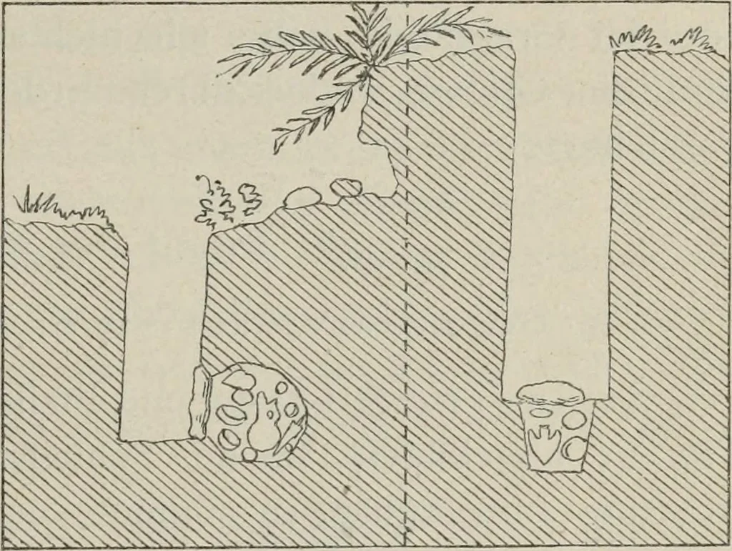 An illustration from Kleine Schriften, 1901, leaf 102