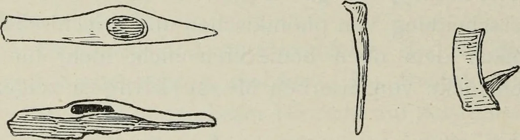 An illustration from Kleine Schriften, 1901, leaf 189
