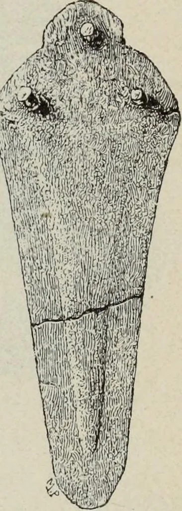 An illustration from Kleine Schriften, 1901, leaf 68