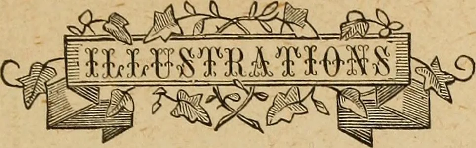An illustration from The Knights of Pythias complete manual and text book .., 1885, leaf 24