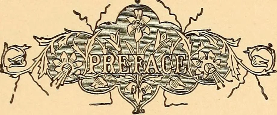 An illustration from The Knights of Pythias complete manual and text-book .., 1878, leaf 14