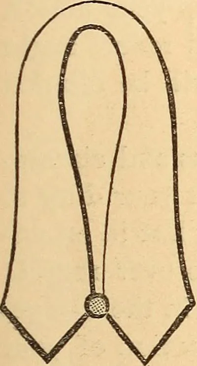 An illustration from The Knights of Pythias complete manual and text-book .., 1878, leaf 88