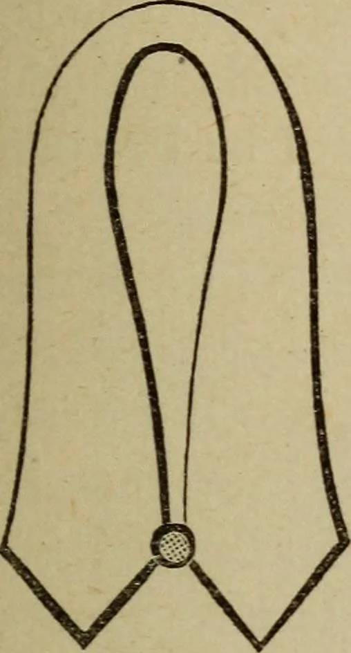 An illustration from The Knights of Pythias complete manual and text-book .., 1886, leaf 88