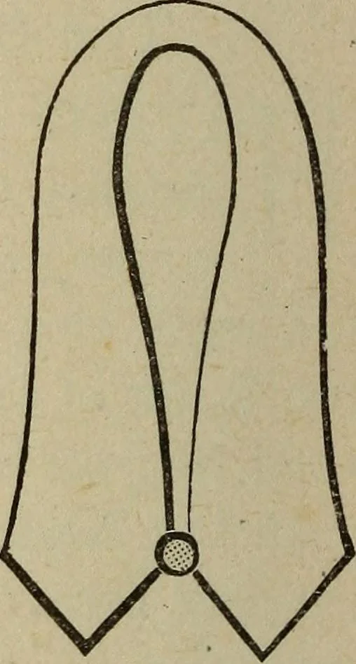 An illustration from The Knights of Pythias complete manual and text-book .., 1886, leaf 89