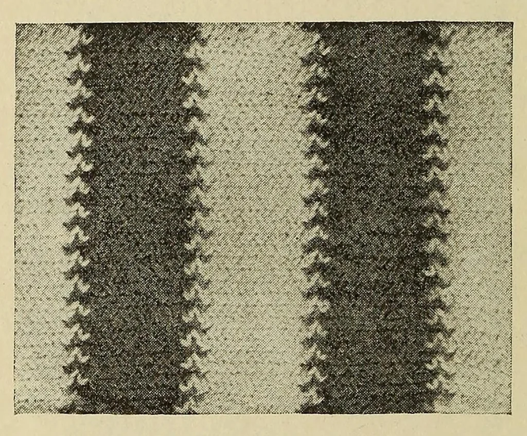 An illustration from Knitted fabrics, 1919, leaf 136