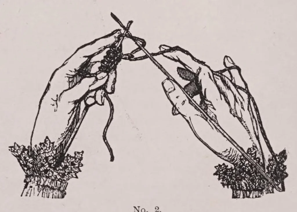 An illustration from Knitting and crochet. A guide to the use of the needle and the hook .., 1885, leaf 18