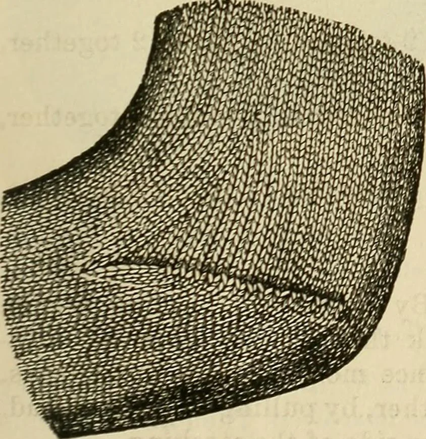 An illustration from Knitting : how to knit and what to knit..., 1884, leaf 12