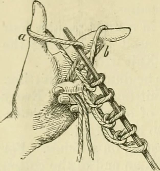 An illustration from Knitting : how to knit and what to knit..., 1884, leaf 5
