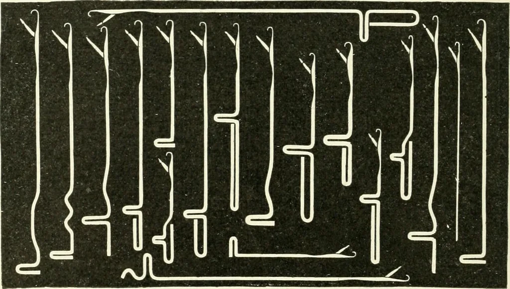 An illustration from Knitting; a manual of practical instruction in the mechanical details of all types of knitting machinery, their operation, adjustment, and care, 1909, leaf 109