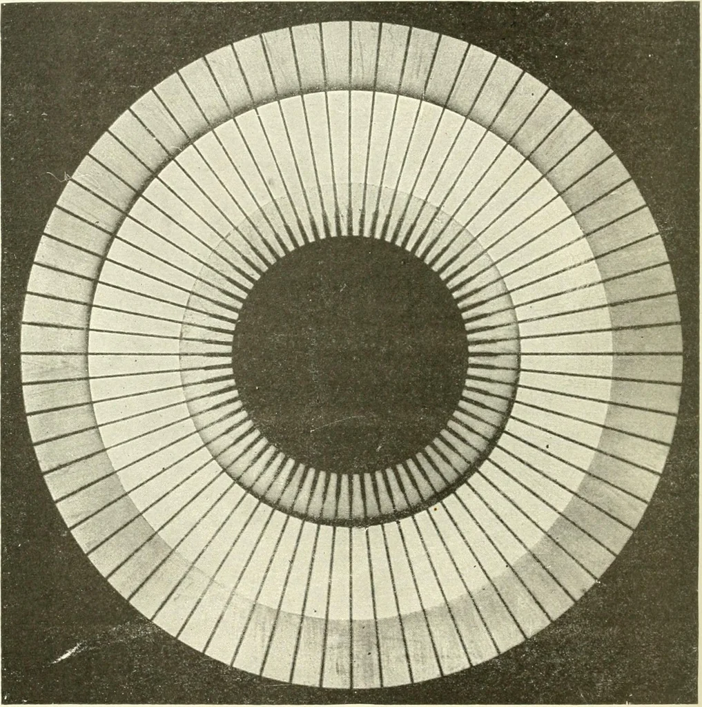 An illustration from Knitting; a manual of practical instruction in the mechanical details of all types of knitting machinery, their operation, adjustment, and care, 1909, leaf 183