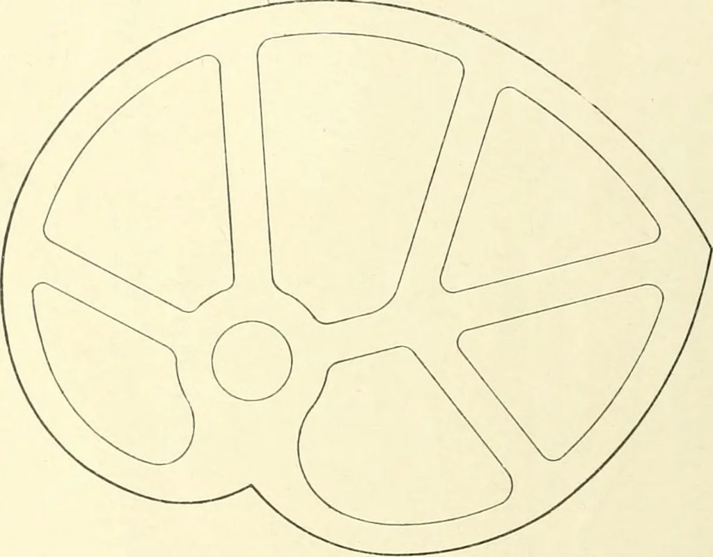 An illustration from Knitting; a manual of practical instruction in the mechanical details of all types of knitting machinery, their operation, adjustment, and care, 1909, leaf 21