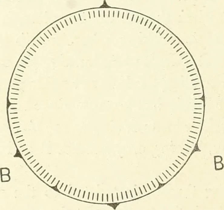 An illustration from Knitting; a manual of practical instruction in the mechanical details of all types of knitting machinery, their operation, adjustment, and care, 1909, leaf 275