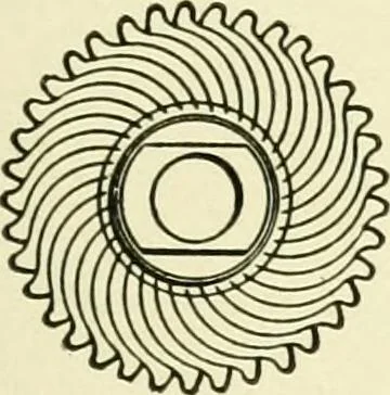 An illustration from Knitting; a manual of practical instruction in the mechanical details of all types of knitting machinery, their operation, adjustment, and care, 1909, leaf 68