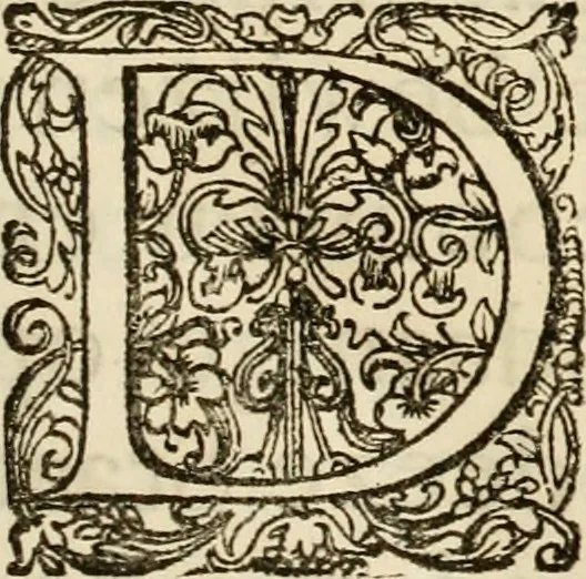 An illustration from Komste van Zyne Majesteit Willem III. koning van Groot Britanje, enz. in Holland, of, Te omstandelyke beschryving van alles, : het welke op des zelfs komste en geduurende zyn verblyf, in's Graavenhaage en elders, ten teeken van vreugde en eere, is opgerecht en voorgevallen, 1691, leaf 12