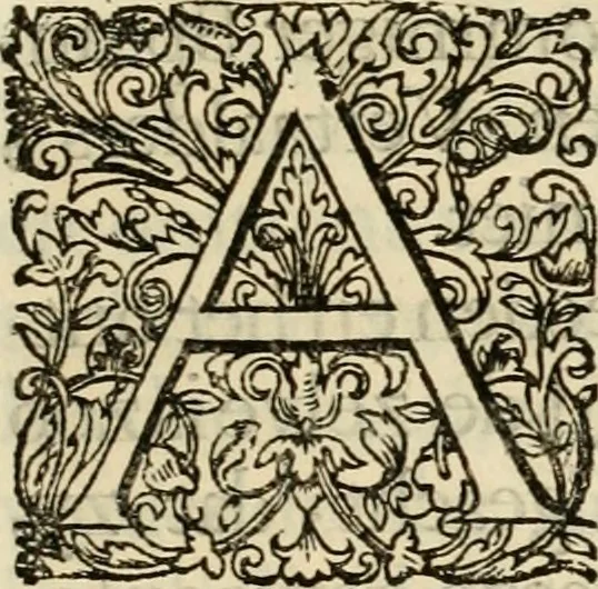 An illustration from Komste van Zyne Majesteit Willem III. koning van Groot Britanje, enz. in Holland, of, Te omstandelyke beschryving van alles, : het welke op des zelfs komste en geduurende zyn verblyf, in's Graavenhaage en elders, ten teeken van vreugde en eere, is opgerecht en voorgevallen, 1691, leaf 20