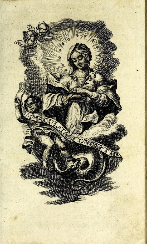 An illustration from Königliche Halss-Zierde einer Gott-liebenden Seelen : in sich begreiffend überaus kräftige Morgen- Abend- Mess- Beicht- und Communion-Gebetter, zu dem hochwürdigsten Sacrament des Altars, der aller-heiligsten Dreyfaltigkeit, von süssen Namen Jesu, Leiden Christi, zu der Mutter Gottes, allen Heil. Engeln und verschidenen Heiligen Gottes : nebst beygefügten Tag-Zeiten zu der göttlichen Fürsichtigkeit ... wie auch mit unterschiedlichen Litaneyen ... : allen Gott-liebenden Herzen zu grösserer Andacht aus verschiedenen approbirten Büchern zusammen getragen, auch auf ein neues in vielen verbesseret .., leaf 213