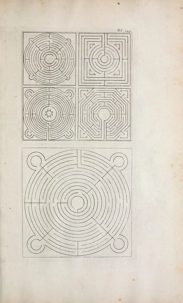 An illustration from De koninglycke hovenier aanwyzende de middelen om boomen : bloemen en kruyden te zaayen, planten, aen queeken en voort teelen : met konstige koperen platen verciert, 1676, leaf 203