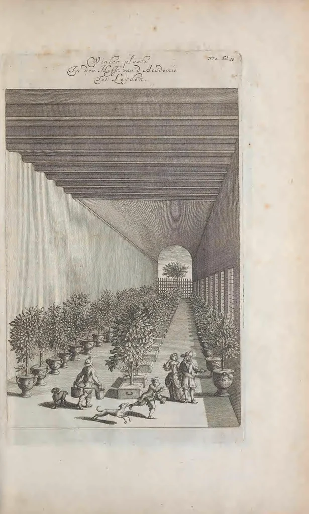 An illustration from De koninglycke hovenier aanwyzende de middelen om boomen : bloemen en kruyden te zaayen, planten, aen queeken en voort teelen : met konstige koperen platen verciert, 1676, leaf 385