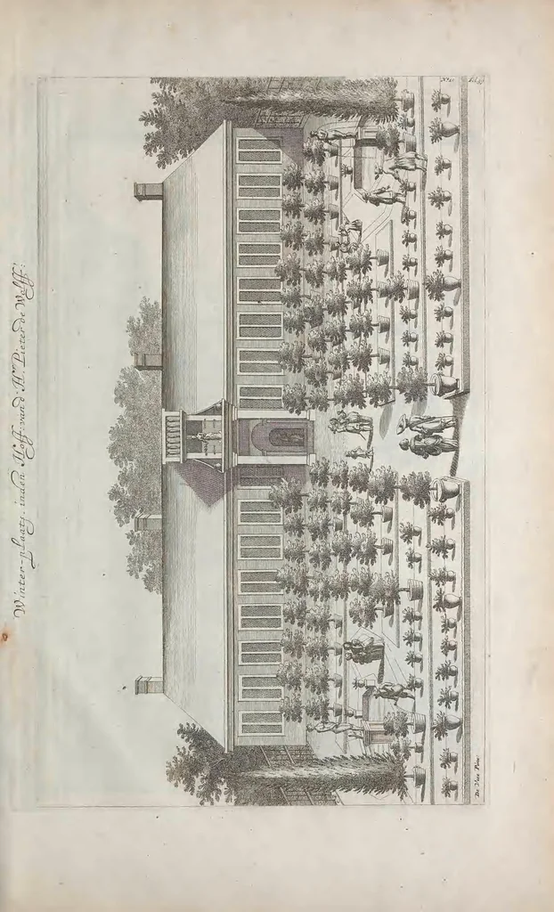 An illustration from De koninglycke hovenier aanwyzende de middelen om boomen : bloemen en kruyden te zaayen, planten, aen queeken en voort teelen : met konstige koperen platen verciert, 1676, leaf 389