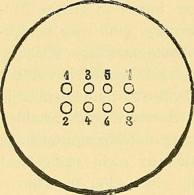 An illustration from Konstruktion, Bau und Betrieb von Funkeninduktoren und deren Anwendung, mit besonderer Berücksichtigung der Röntgenstrahlen-Technik, 1904, leaf 211