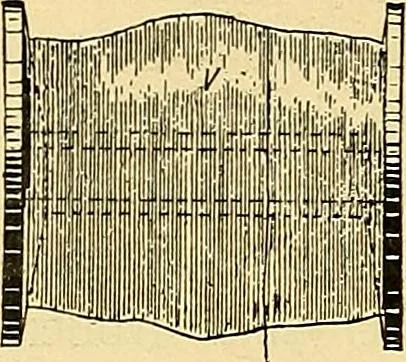An illustration from Konstruktion, Bau und Betrieb von Funkeninduktoren und deren Anwendung, mit besonderer Berücksichtigung der Röntgenstrahlen-Technik, 1904, leaf 47
