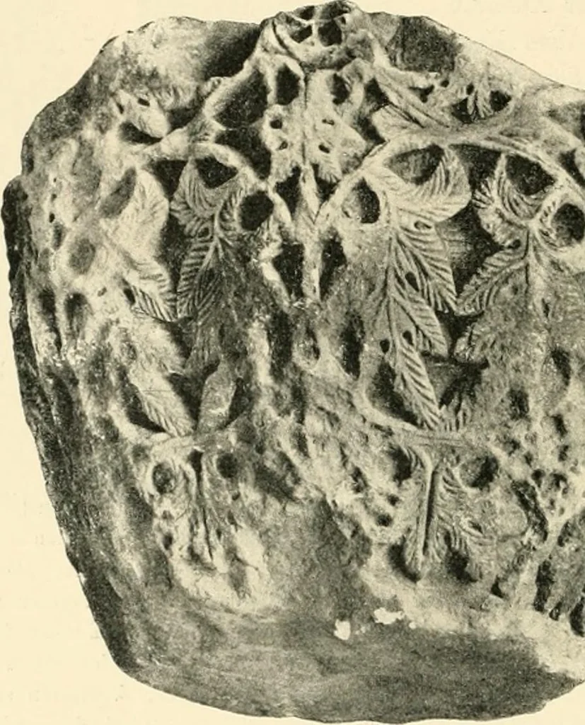 An illustration from Koptische Kunst, 1904, leaf 105
