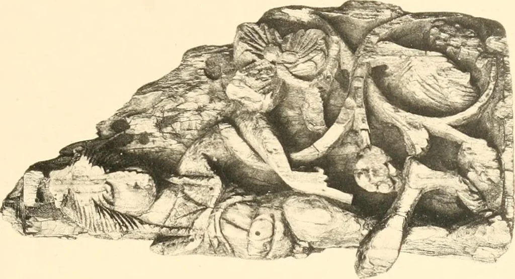 An illustration from Koptische Kunst, 1904, leaf 252