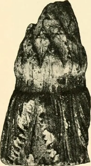 An illustration from Koptische Kunst, 1904, leaf 287
