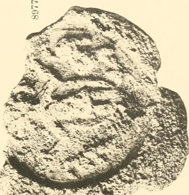 An illustration from Koptische Kunst, 1904, leaf 294