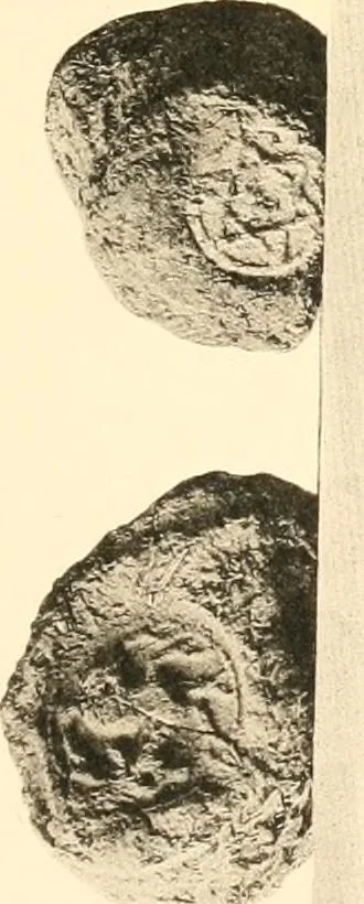 An illustration from Koptische Kunst, 1904, leaf 310