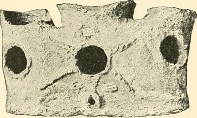 An illustration from Koptische Kunst, 1904, leaf 315