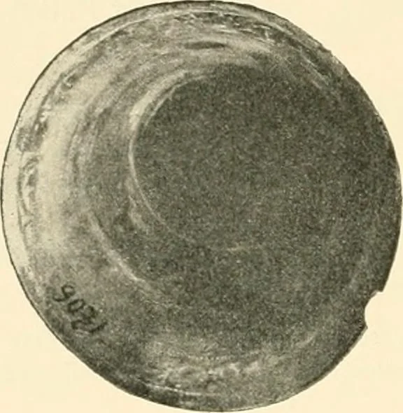 An illustration from Koptische Kunst, 1904, leaf 355