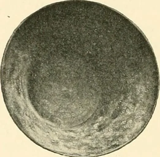 An illustration from Koptische Kunst, 1904, leaf 355