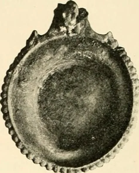 An illustration from Koptische Kunst, 1904, leaf 419