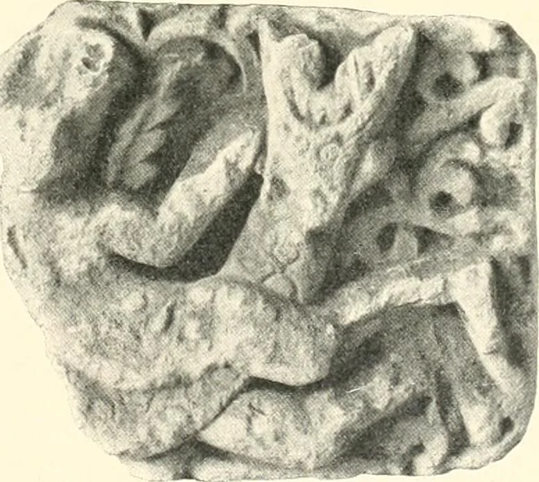An illustration from Koptische Kunst, 1904, leaf 58